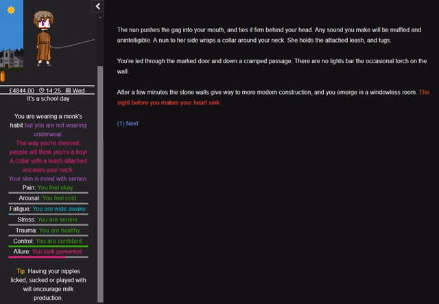 Degrees of Lewdity screenshot 4