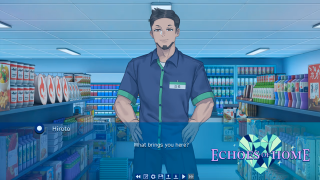 Echoes of Home screenshot 5