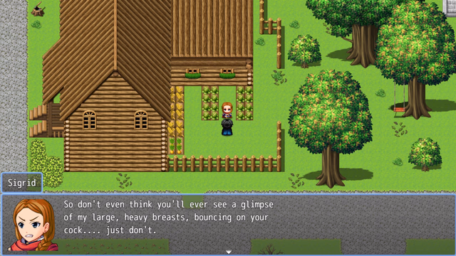 Edge of the Sky screenshot 4