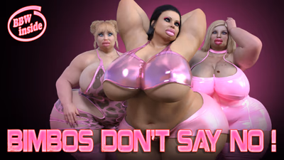 Bimbos Don't Say No cover