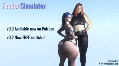 Feeder Simulator cover
