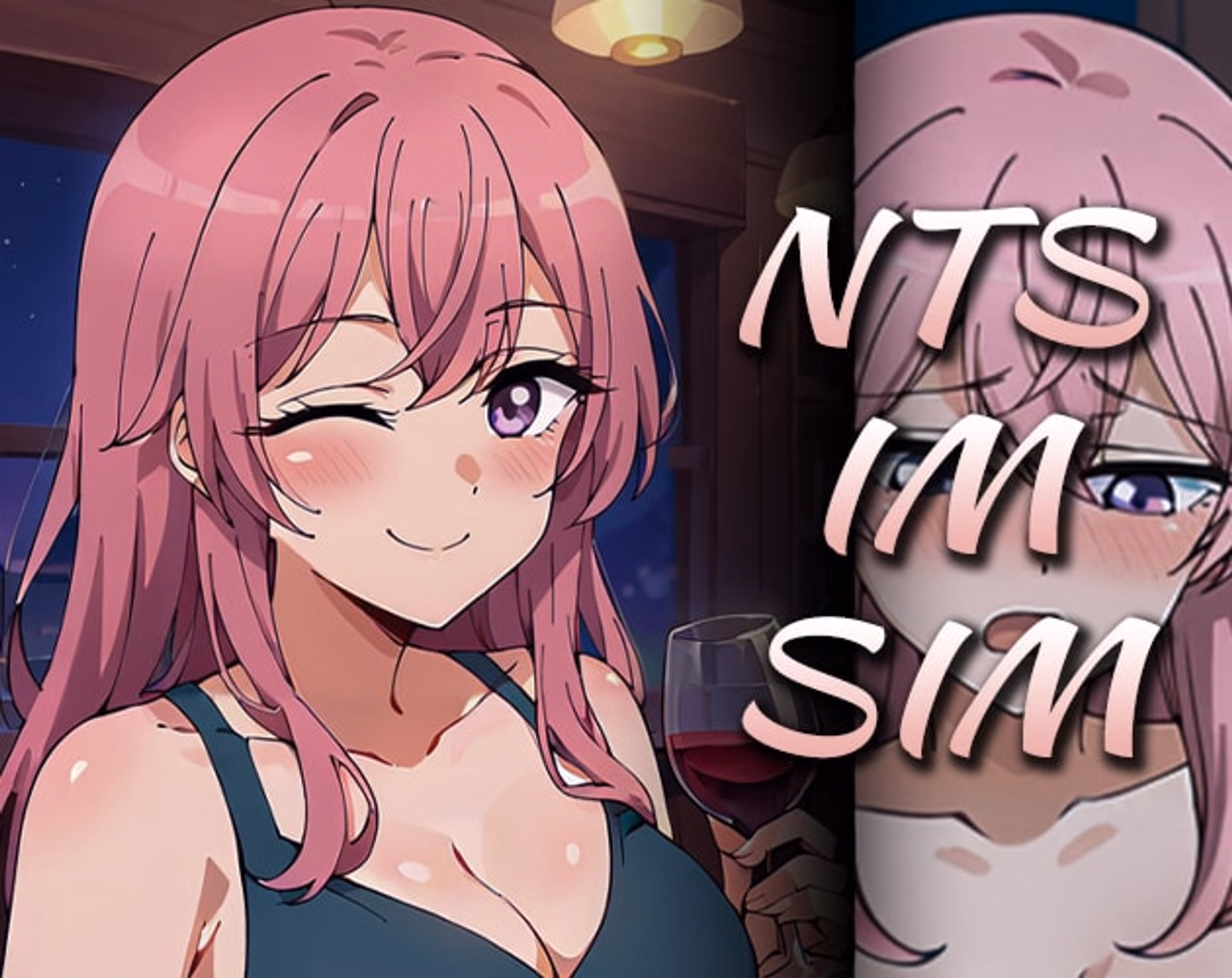 NTS-IM-SIM artwork