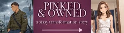 Pinked and Owned cover