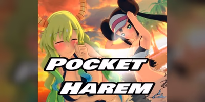 Pocket Harem cover