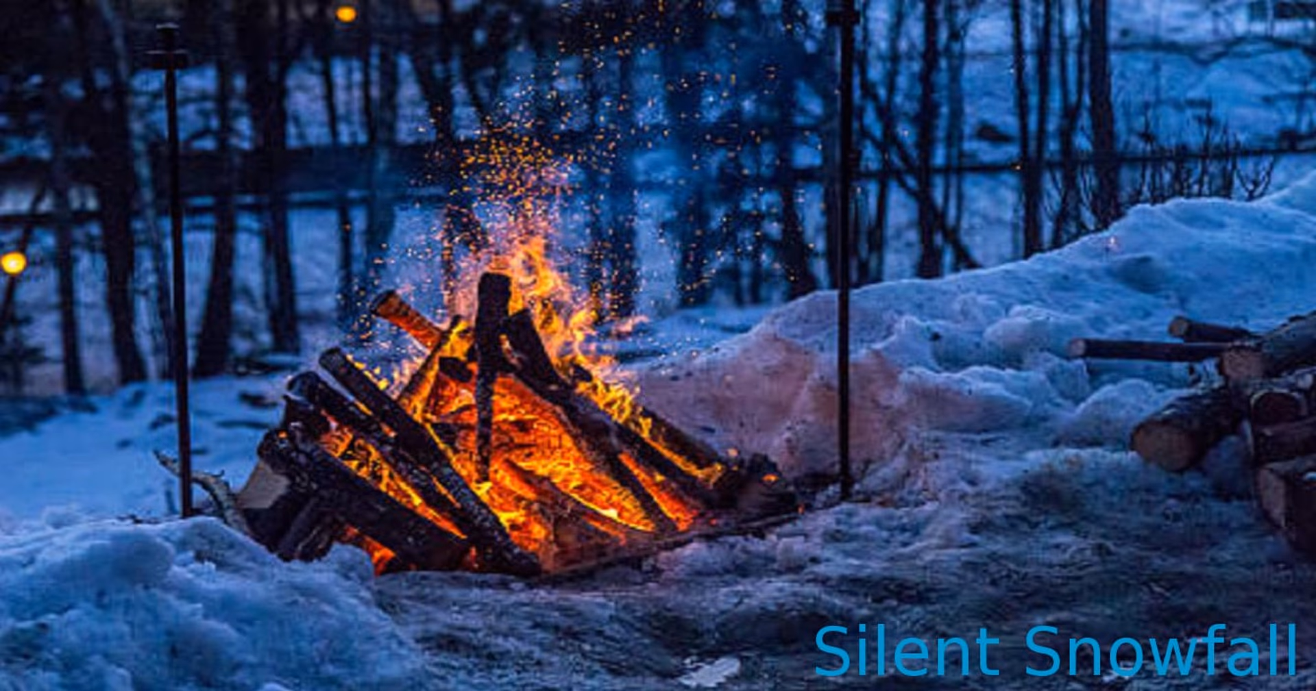 Silent Snowfall artwork