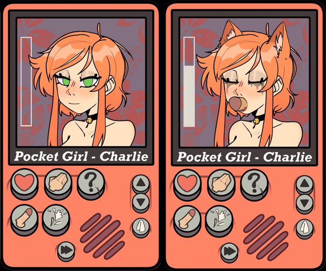 Pocket Charlie screenshot 2