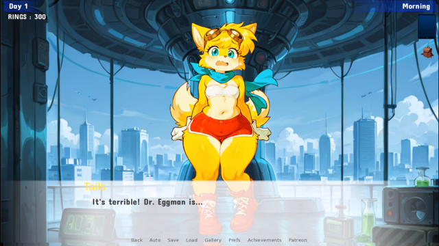 Sonic IDS Quest screenshot 3
