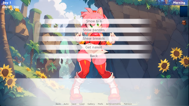 Sonic IDS Quest screenshot 4